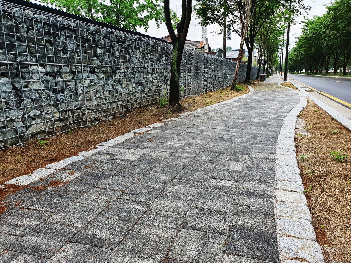 크고 작은 조각이 어우러지고 사이사이 초록이 번진 mosaic 포장