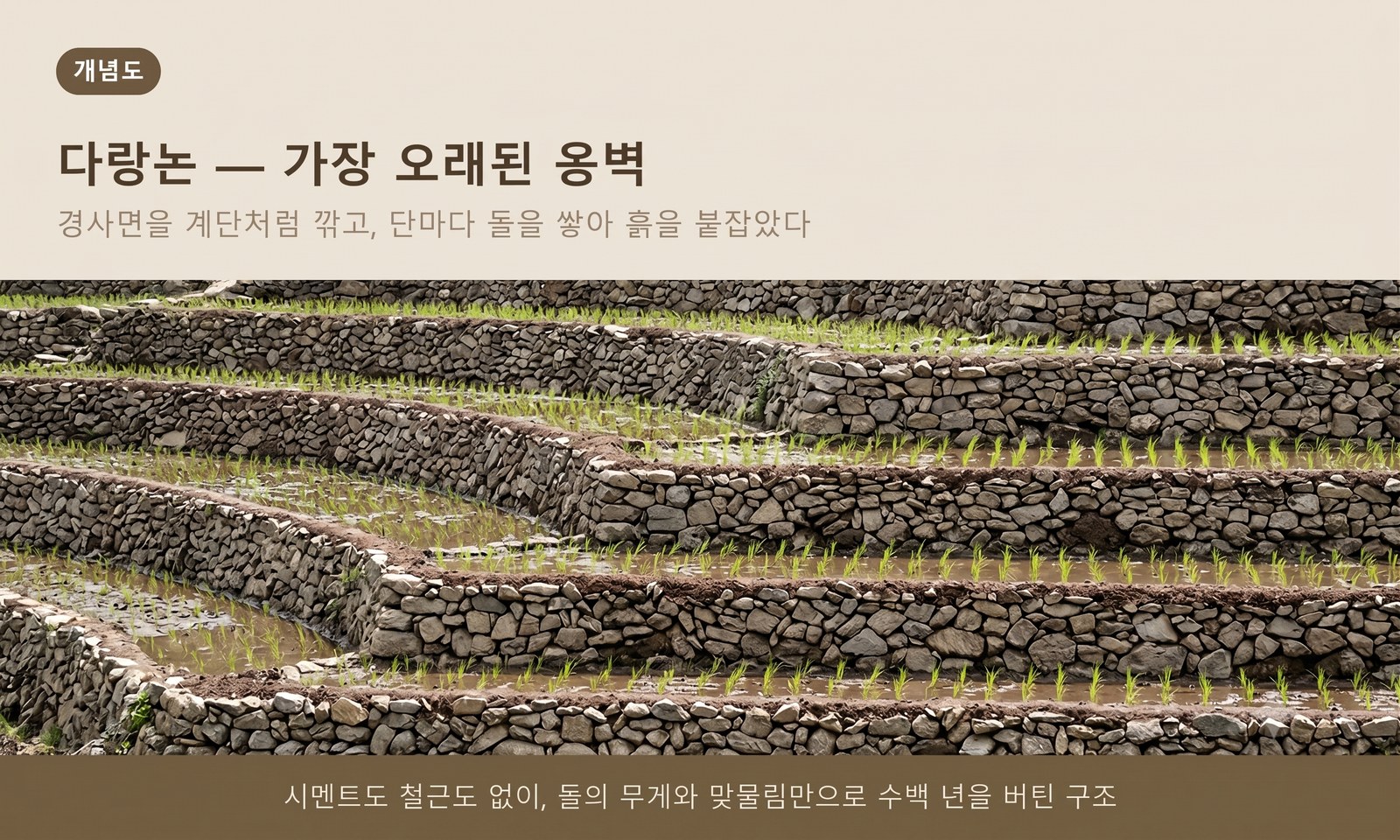 다랑논 — 경사면을 계단처럼 깎고 단마다 돌을 쌓아 흙을 붙잡은 가장 오래된 옹벽