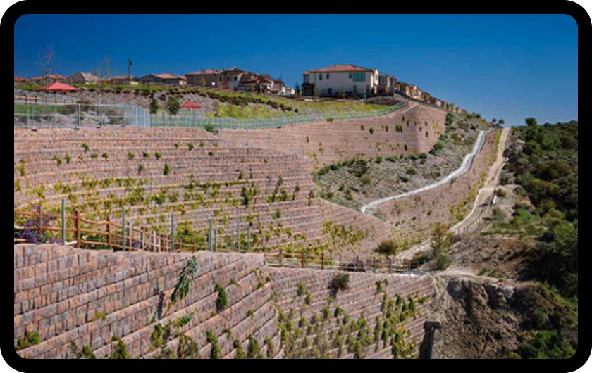 The Oaks at Portola Hills 식재형 블록 근경 (출처: Belgard Commercial / THE OAKS AT PORTOLA HILLS Case Study)
